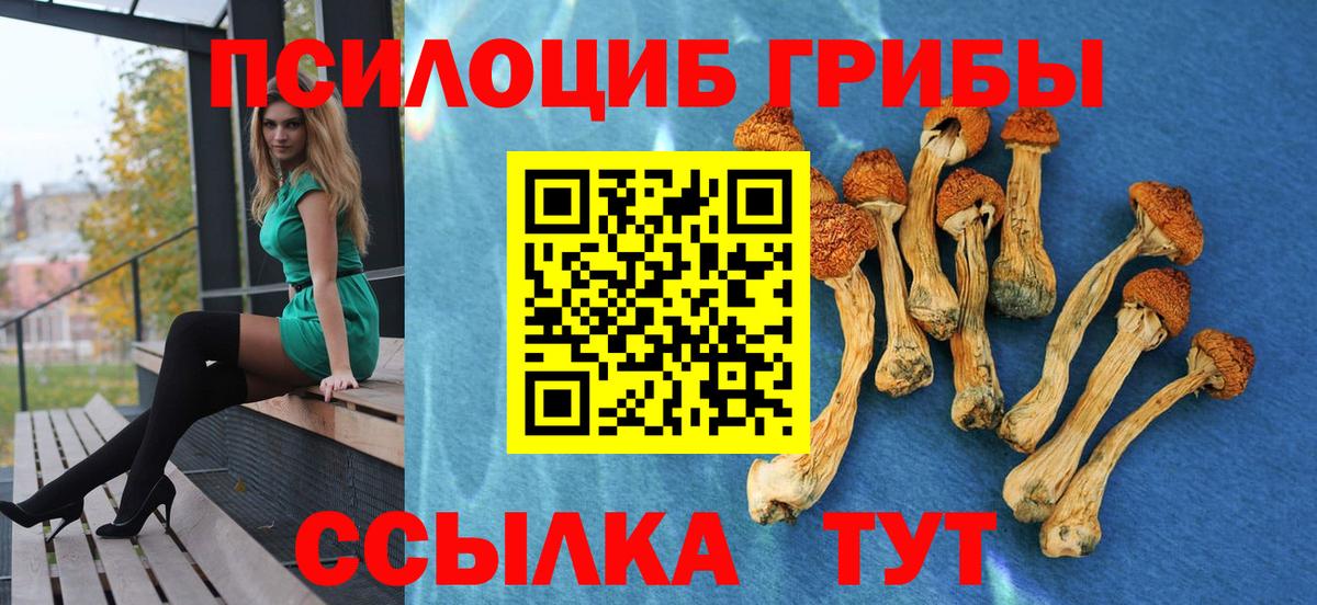Луховицы  Псилоцибиновые грибы MAGIC MUSHROOMS  Вход с VPN 